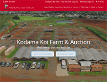 Tablet Screenshot of kodamakoifarm.com